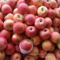 Paper Bagged Fresh Red FUJI Apple